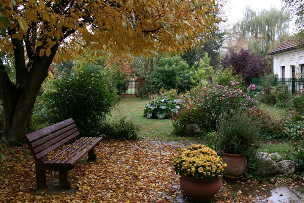 garten herbst