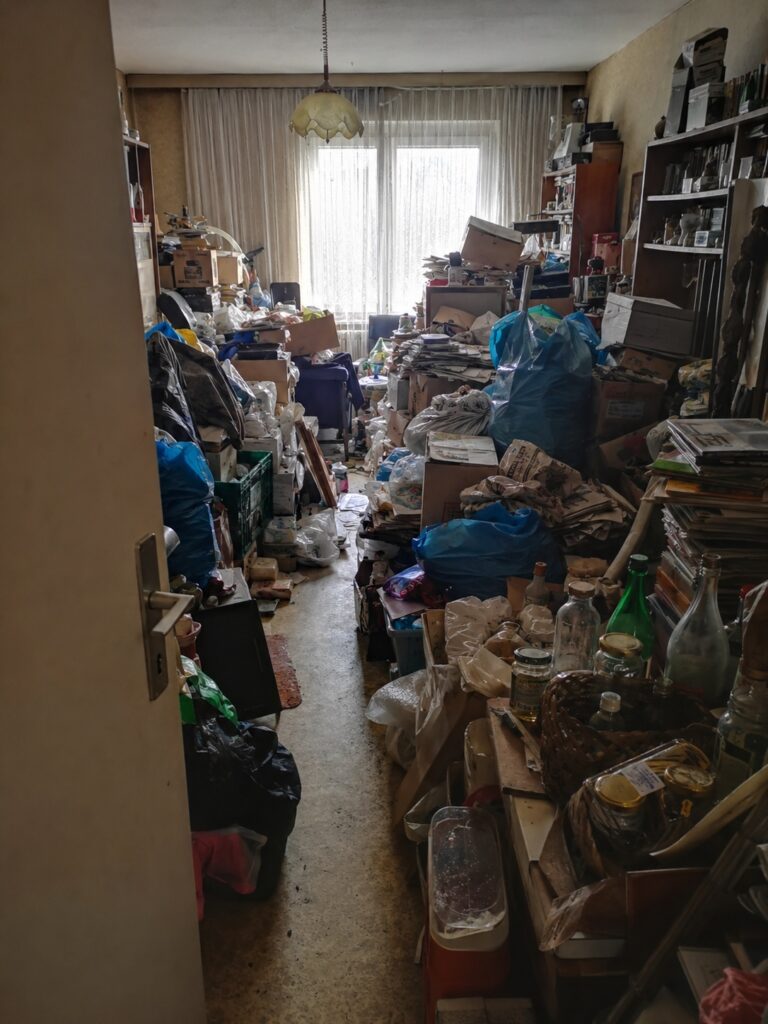 messiwohnung